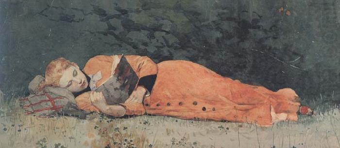 Winslow Homer The New Novel (mk44) china oil painting image
